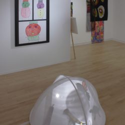 Installation view