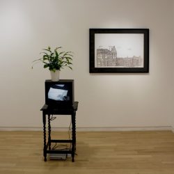Recalling Lines installation view