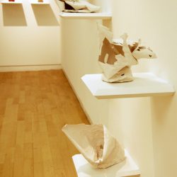 Richard Anderson 'Misuse of Clay'