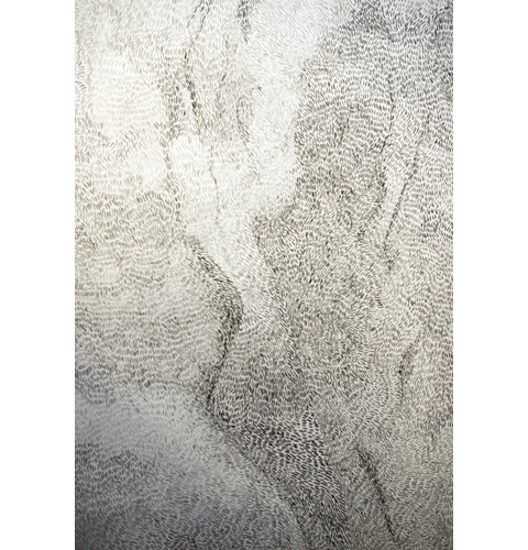 Residency 2010 – The Collection