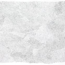 'Untitled' - Simon McAuley