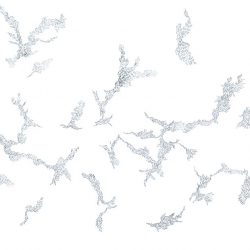 'Untitled' - Simon McAuley