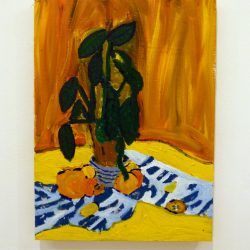 Still Life - installation view