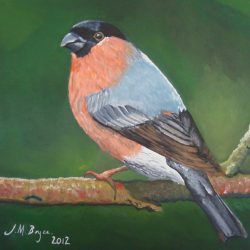 'Bird' by Julie Boyce