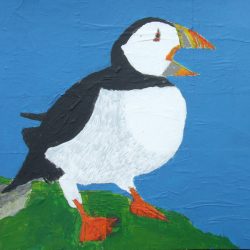 Puffin