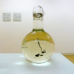 'Dark Matter' by Fraser Ross