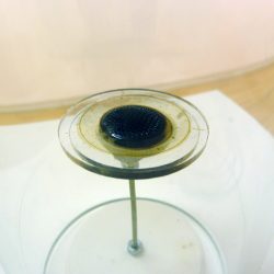 'Dark Matter' by Fraser Ross