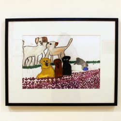 'Dogs' by Catherine Rankine