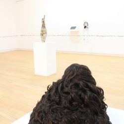 'Landscape in Hair' by Lorraine Hamilton