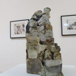 'Henderson Buttressed Form' by Nicola Henderson