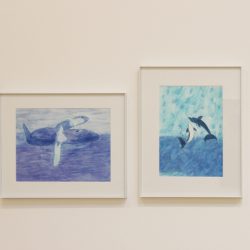 Left: 'Every Life is Precious' by Amber Rainshadow Right: 'Two Dolphins Under Water' by Russel March (Garth Homer Society)