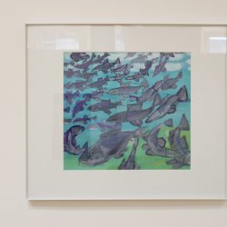'Underwater Silver Sockeye Salmon' by Josefina Mena (Garth Homer Society)