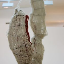 'Long Hanging Colour'