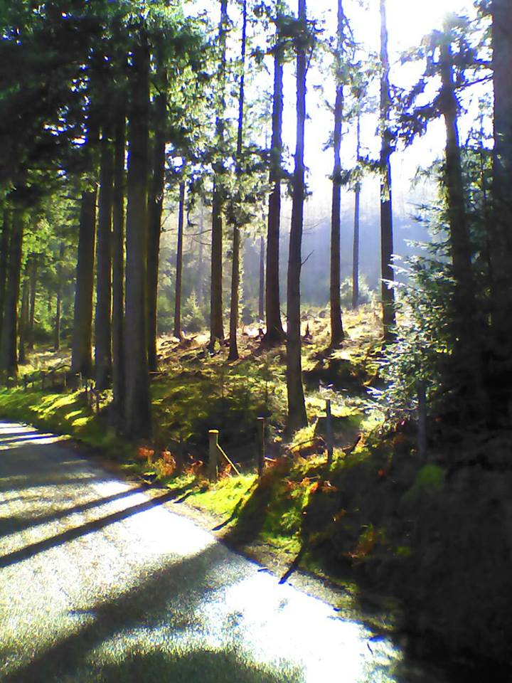 Lea Cummings in Wales – Week 3