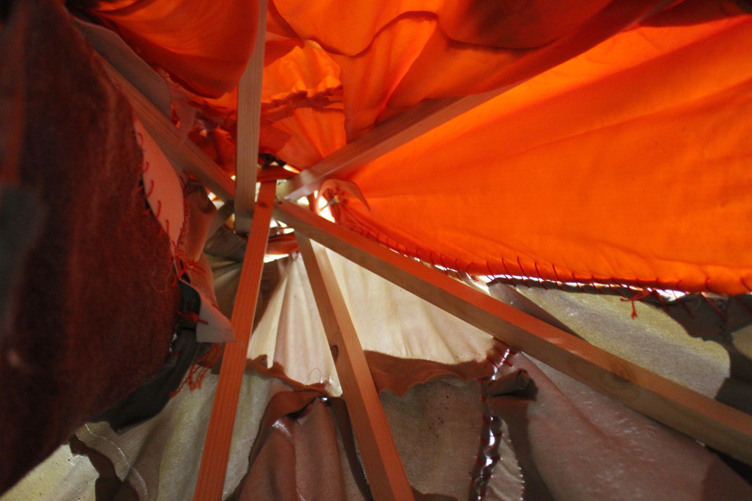 The Intern Diaries- Adrianne’s Blog Week 3