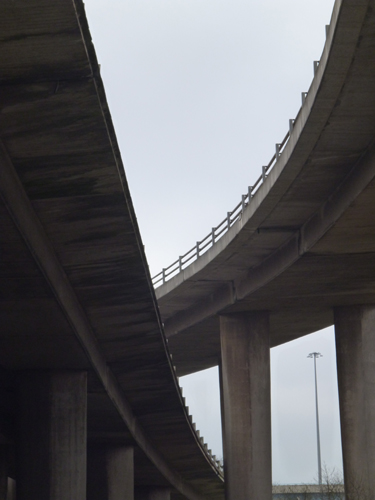 Walking Group – Week 7