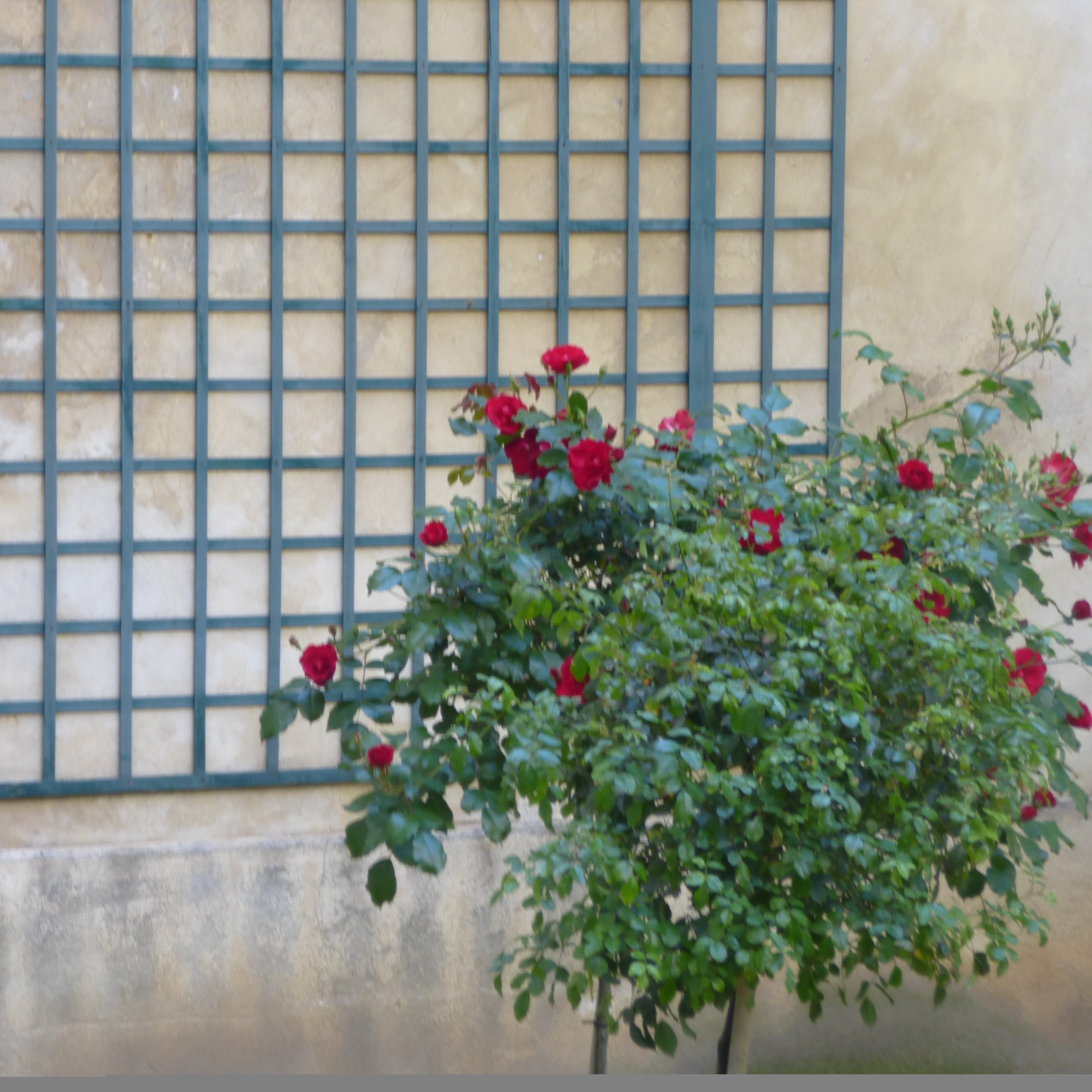 Details from a day in Paris by Simon McAuley