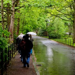Walking Group – Week 9