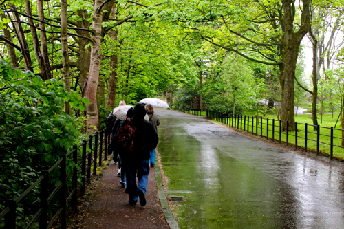 Walking Group – Week 9