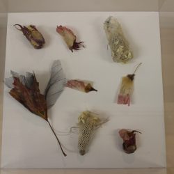 Work by Jan Butler