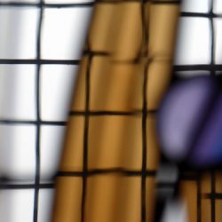 Walking Group – Week 5 - House for an Art Lover