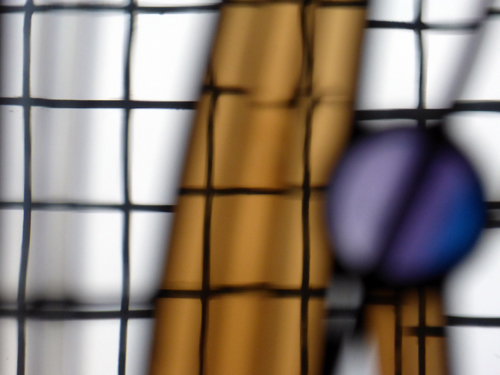 Walking Group – Week 5 - House for an Art Lover