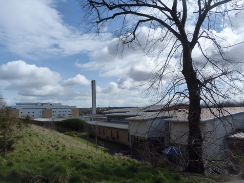 Walking Group – Week 7 - Gartnavel grounds