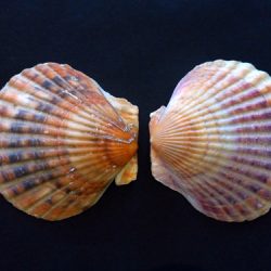 Walking Group – Week 10