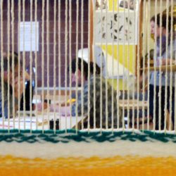 Walking Group – Week 9 - Pollock Park