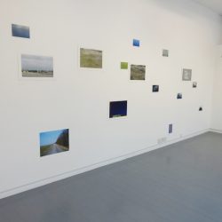 Gallery view