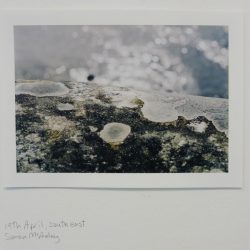 19th April, South East Simon McAuley