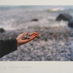 3rd May, rocks from west coast of Bute on east coast of Mør Island, Ida Arentoft