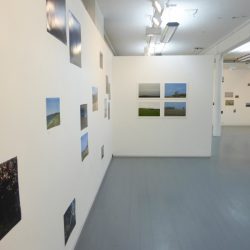 Gallery view