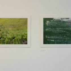 Left: 9th April, South Right: 17th March, East Simon McAuley