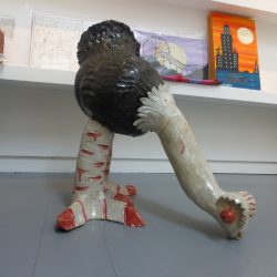 Shop Item of the Week – Ostrich by Cameron Morgan
