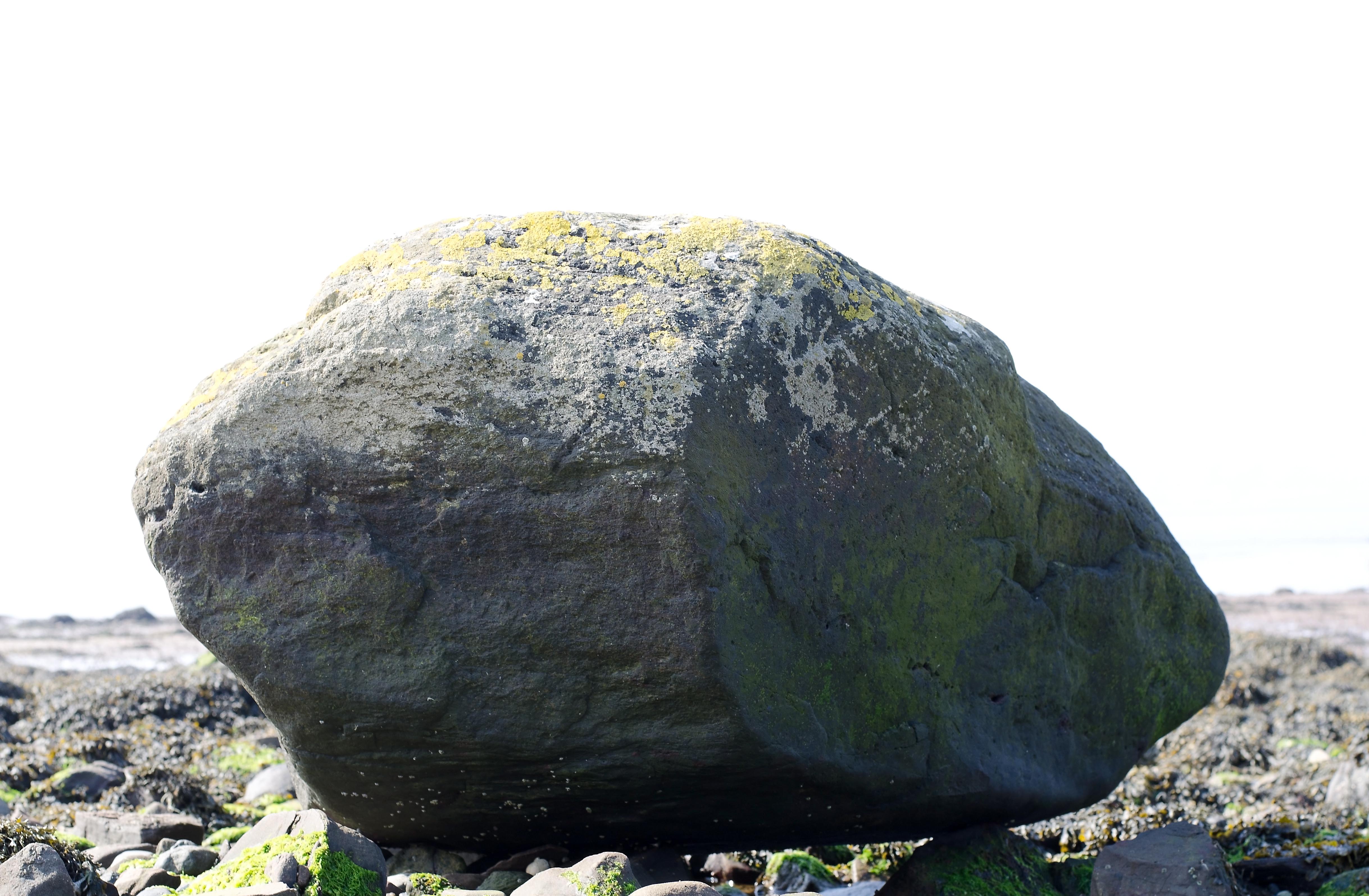 Artwork of the Week by Simon McAuley