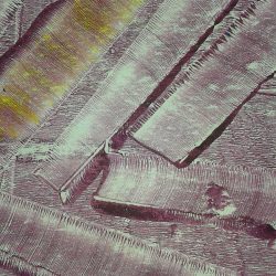 Project Ability Workshops at Gartnavel