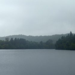 Walking Group – Week 16 - Milngavie