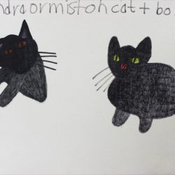 'Cats' by Sandra Ormiston