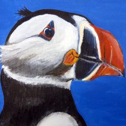 Shop Item of the Week – ‘Yoonett Puffin Passion’ by Christina SooJa Massey