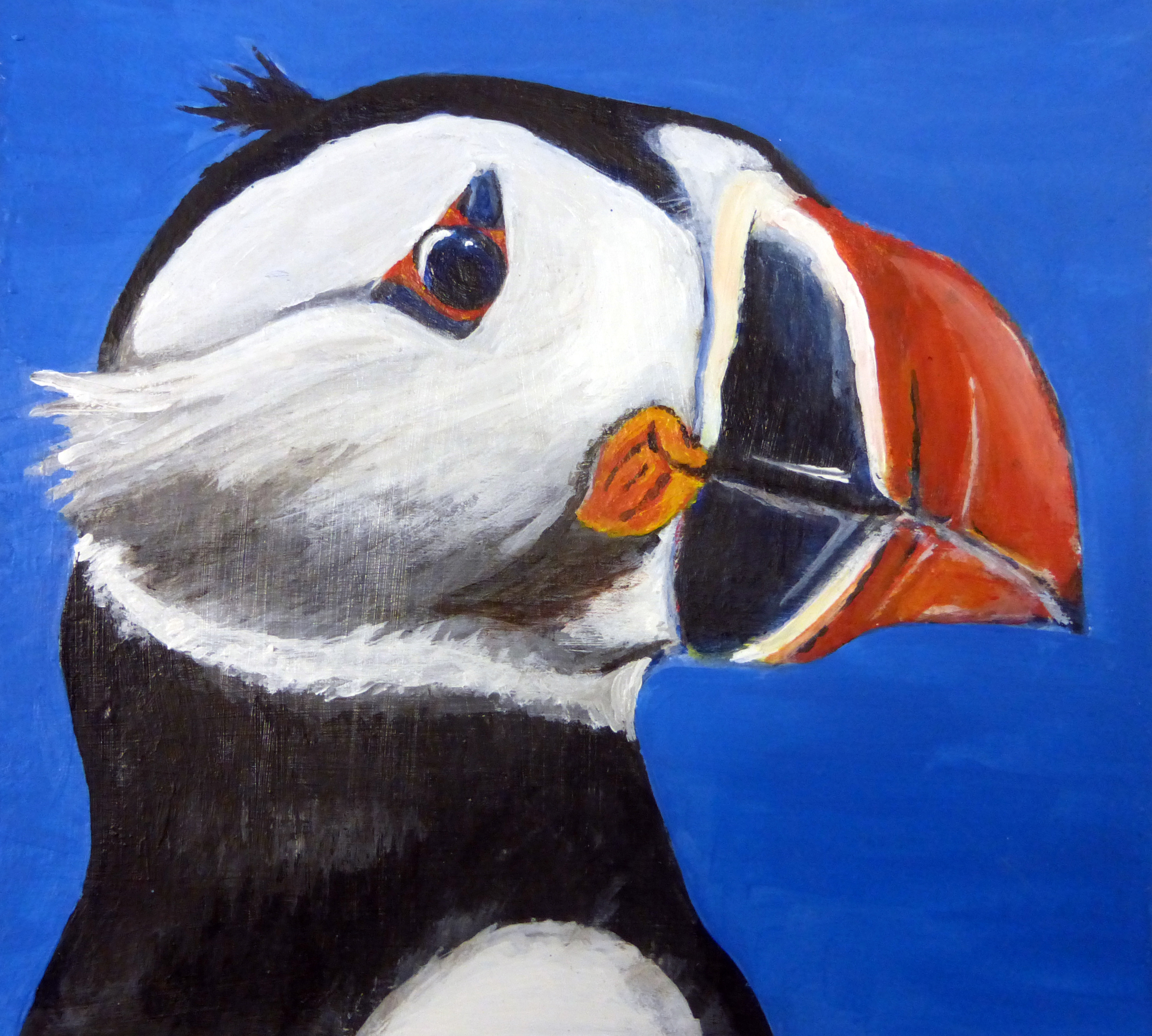 Shop Item of the Week – ‘Yoonett Puffin Passion’ by Christina SooJa Massey