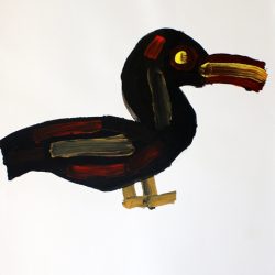 Black Duck’ by Lesley Nimmo