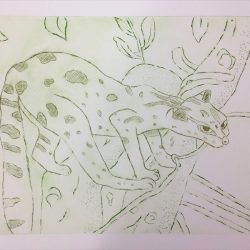 'Ocelot' by Gary Turner
