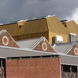 Walking Group – Week 3: Tramway