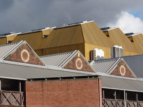 Walking Group – Week 3: Tramway