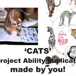 CATS – a series of workshops with Joanna Peace and Luke Shaw