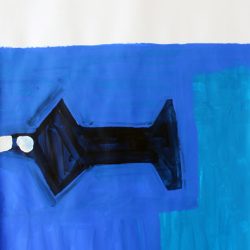 Mako Shark’ by Lesley Nimmo