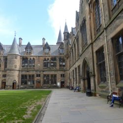 Walking Group – Week 8: Hunterian Museum of Zoology and Anatomy