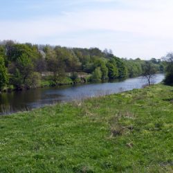 Walking Group – Week 9: Cuningar Loop