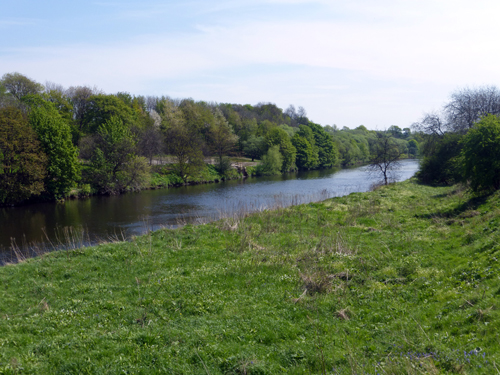 Walking Group – Week 9: Cuningar Loop